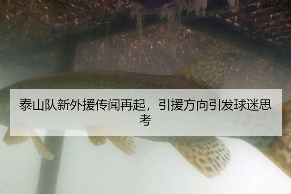 tai-shan-dui-xin-wai-yuan-chuan-wen-zai-qi-yin-yuan-fang-xiang-yin-fa-qiu-mi-si-kao-2-999.jpg